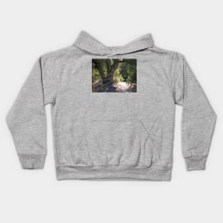 Path to Green Valley Kids Hoodie